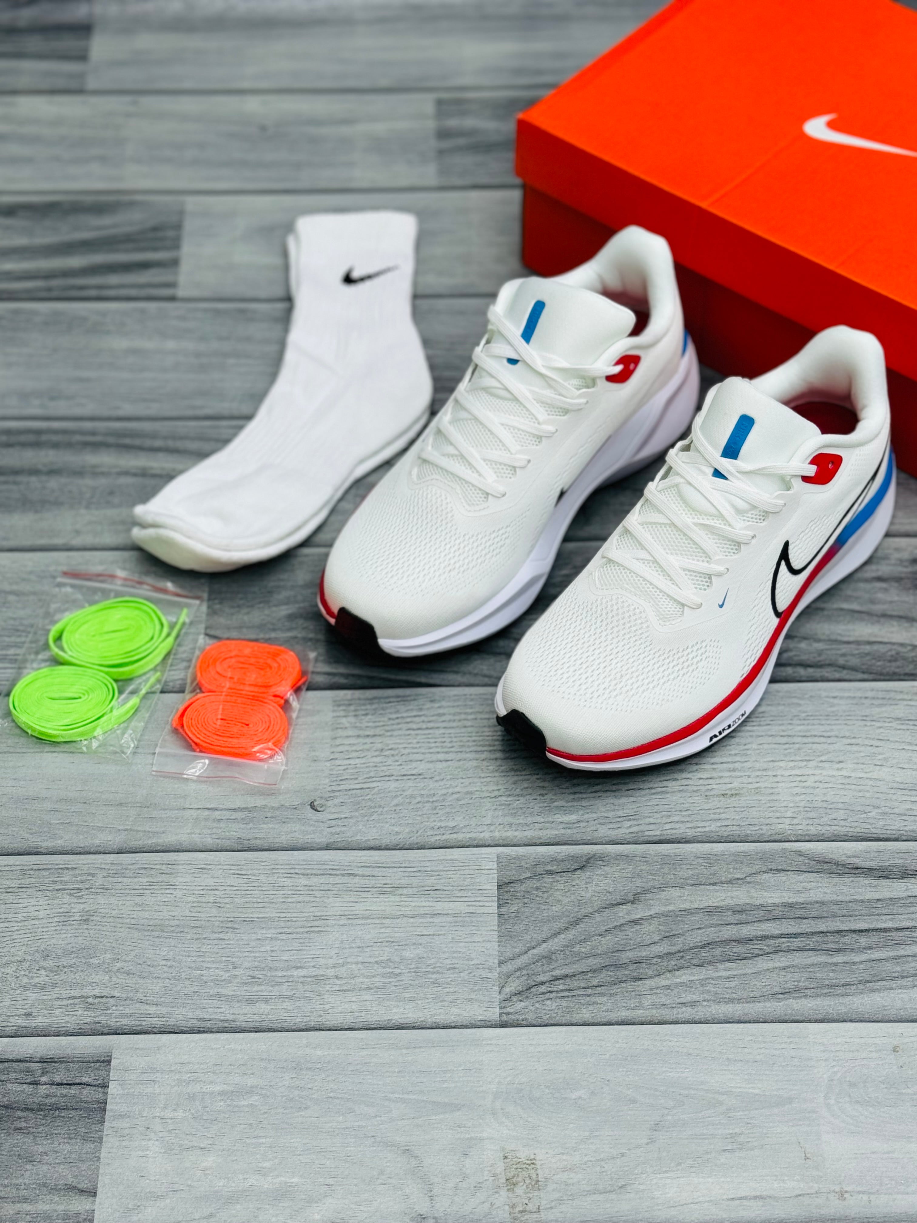Pegasus 41